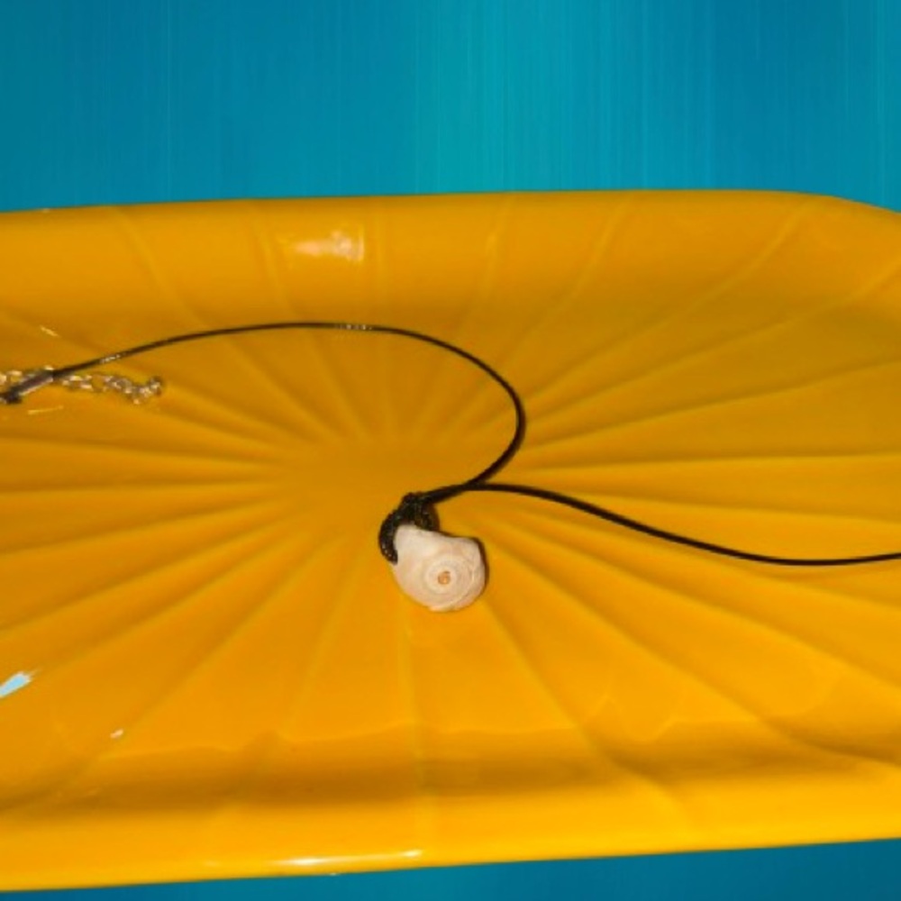 🆕 Carolina Sea Shell Swirly Choker Necklace - Picture 3 of 14